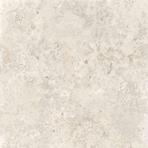 Fossil-Blanco